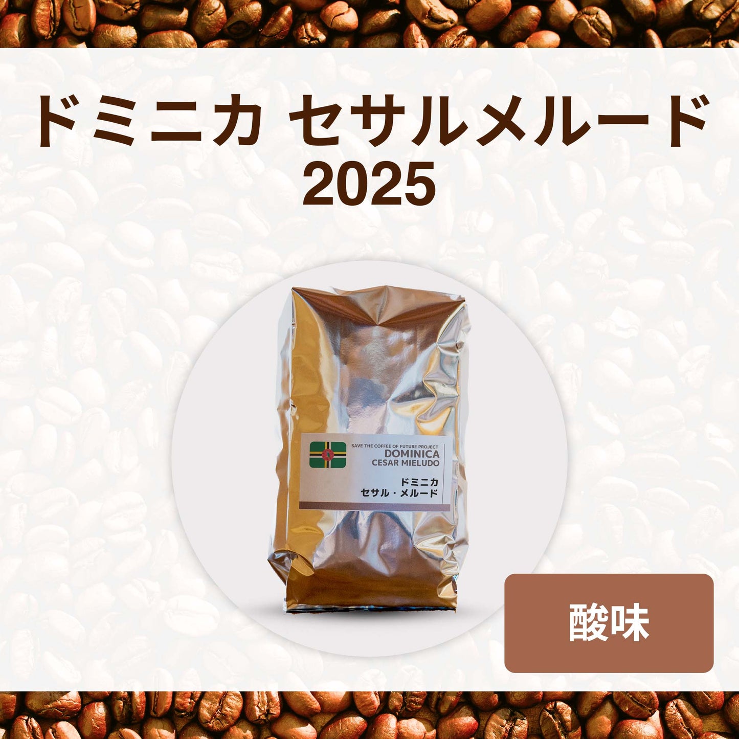 ドミニカ セサルメルード2025