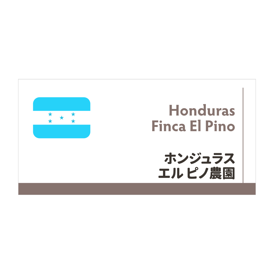 【限定豆】ホンジュラス エルピノ農園