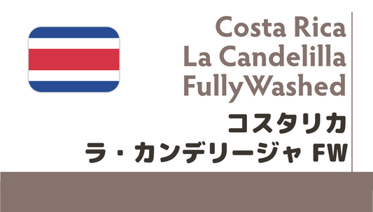 【限定豆】コスタリカ カンデリージャ農園FW