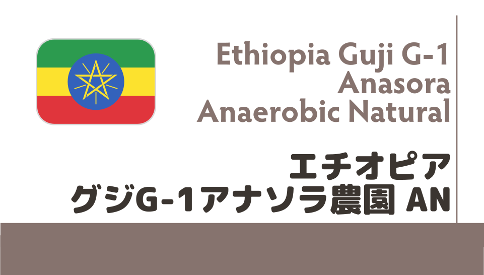 【限定豆】エチオピア グジG-1 アナソラ アナエロビックナチュラル