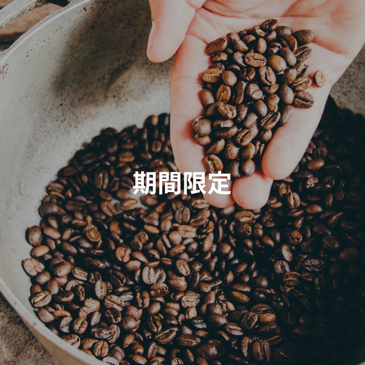期間限定