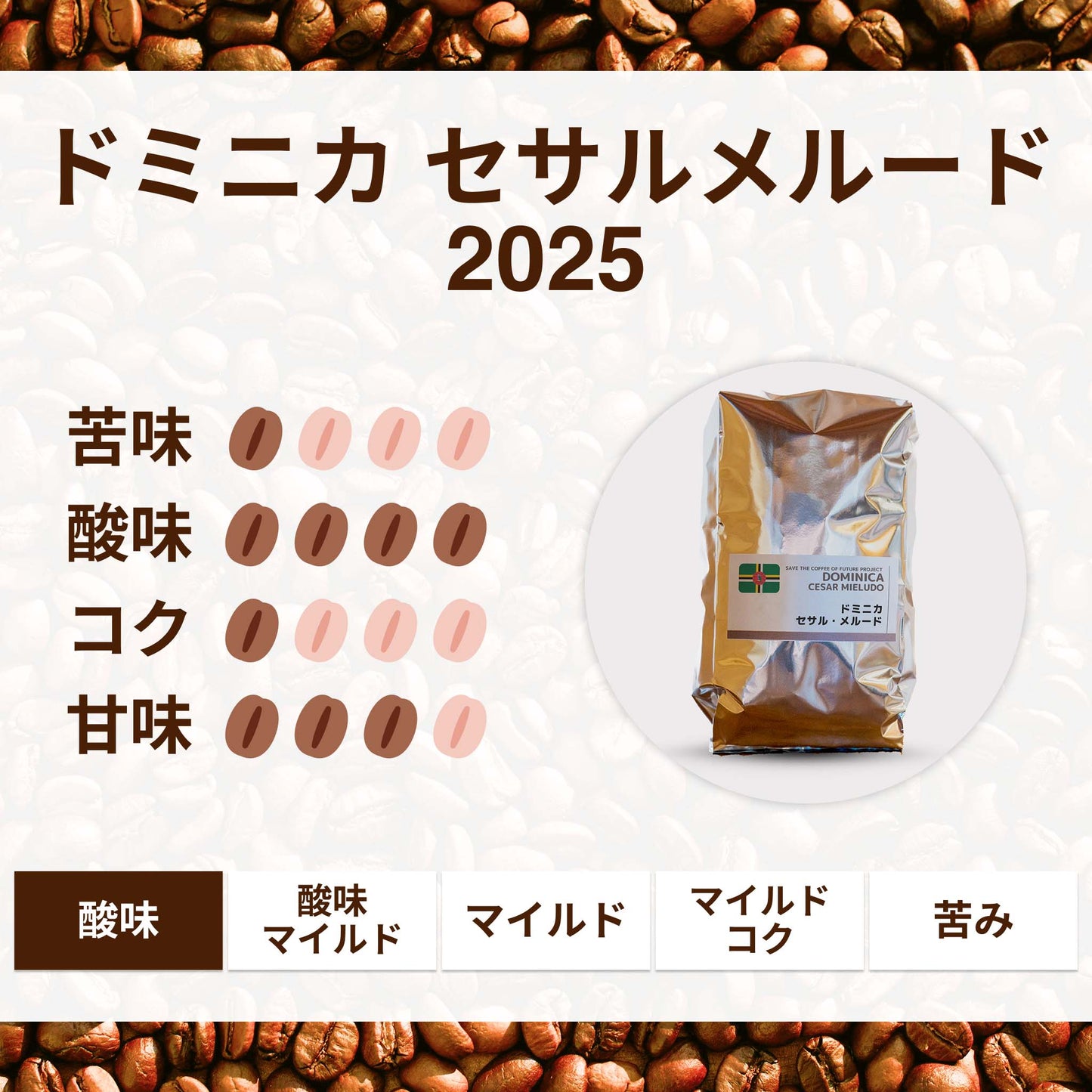 ドミニカ セサルメルード2025