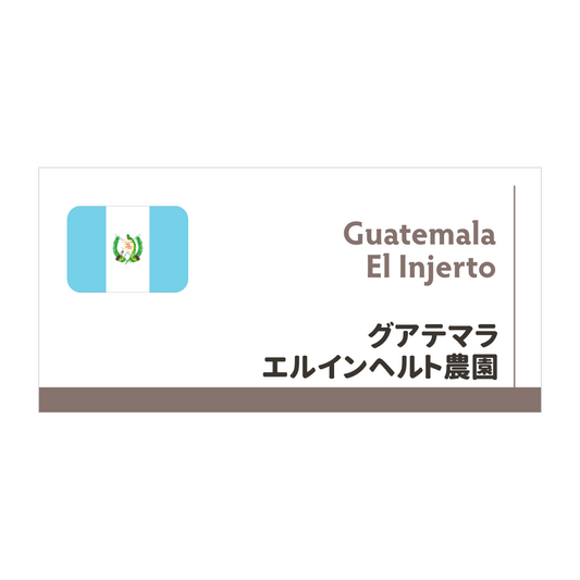 【限定豆】グアテマラ エルインヘルト農園　ブルボン100％