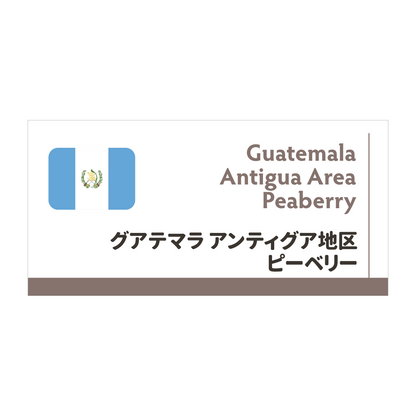【6/6再入荷】グアテマラピーベリー