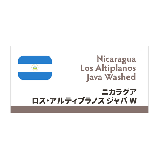 【限定豆】ニカラグア ロス・アルティプラノス農園 ジャバ