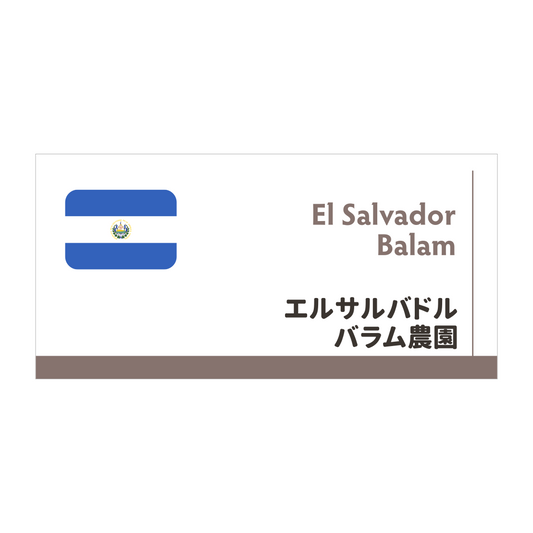 【限定豆】エルサルバドル　バラム農園