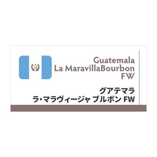 【限定豆】グアテマラ　ラ・マラヴィージャ ブルボン FW