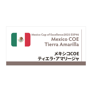 【限定豆】メキシコ COE2025 EXP#6 ティエラ・アマリージャ