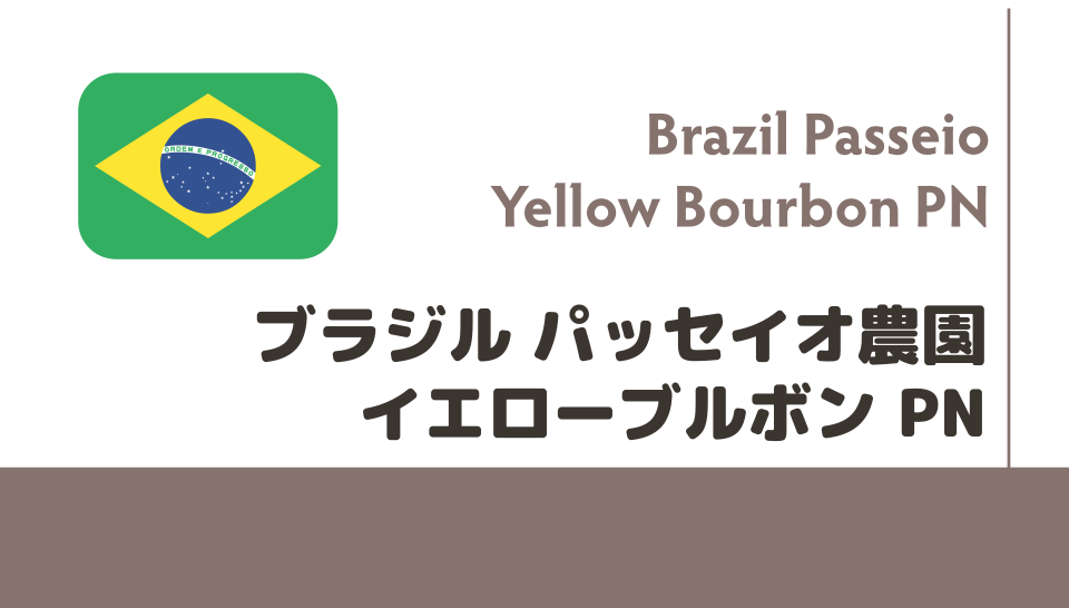 【限定豆】ブラジル　パッセイオ　イエローブルボン　PN