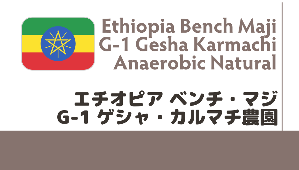 【最終入荷】エチオピア　ベンチ・マジG-1 ゲシャ・カルマチ農園 アナエロビック