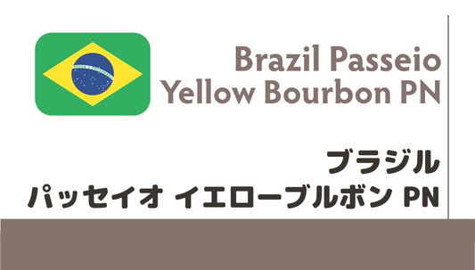 【限定豆】ブラジル　パッセイオ　イエローブルボン　PN