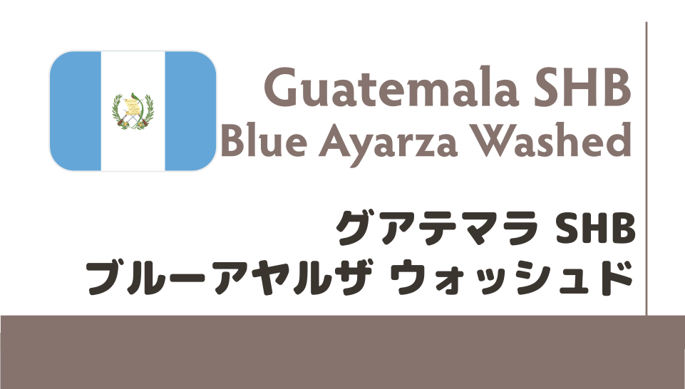 【限定豆】グアテマラ　ブルーアヤルザ