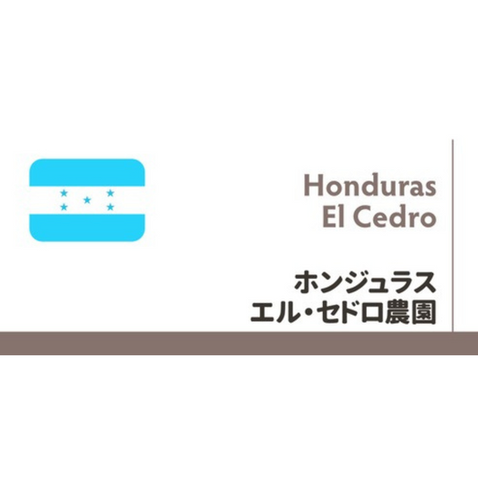 【限定豆】ホンジュラス　エル・セドロ農園